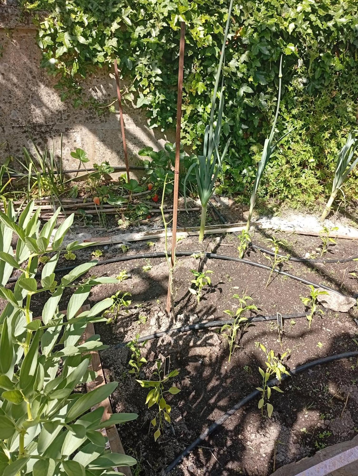 索茹Casinha Da Horta别墅 外观 照片